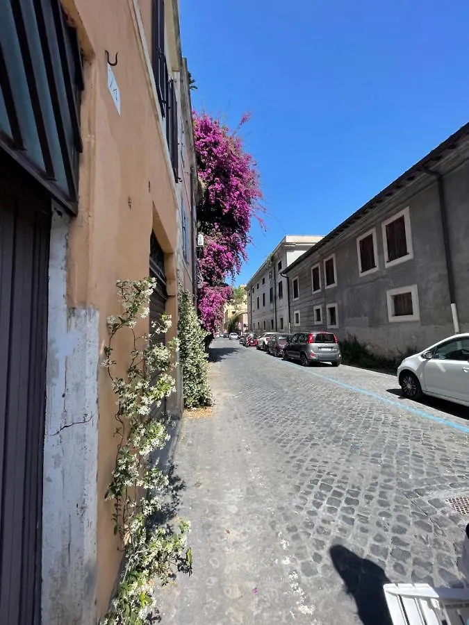 La Maison B8 Roma Appartamento