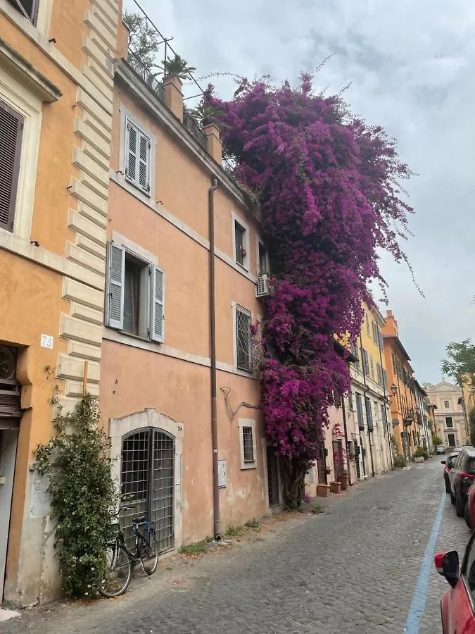 Appartamento La Maison B8 Roma